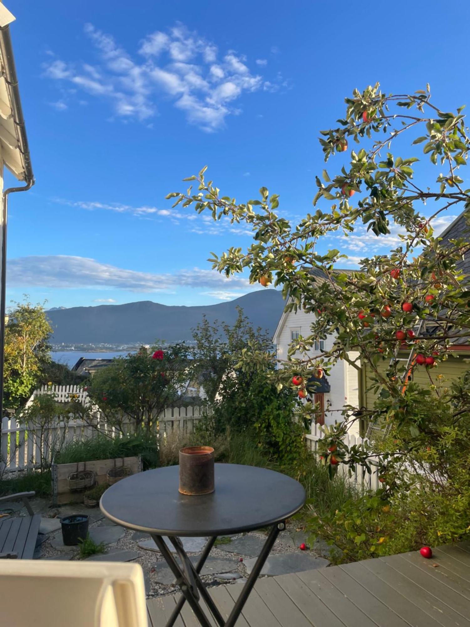 Koselig Leilighet I Sentrum Ålesund المظهر الخارجي الصورة